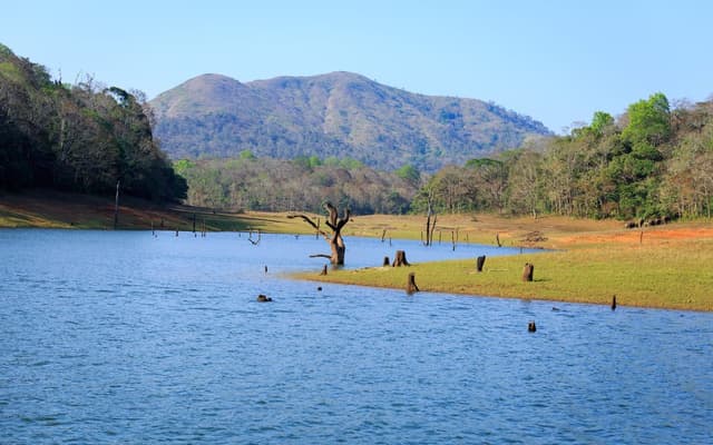04NIGHTS-05DAYS KERALA PACKAGE 