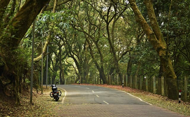 10NIGHT-11DAYS SOUTH INDIAN PACKAGE
