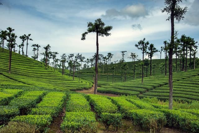 11NIGHT-12DAYS SOUTH INDIAN PACKAGES