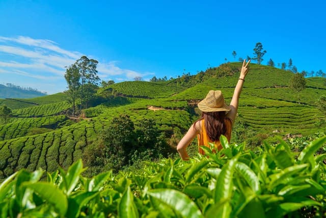 03NIGHTS-04DAYS KERALA PACKAGE