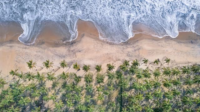 08NIGHTS-09DAYS CALICUT COCHIN PACKAGE