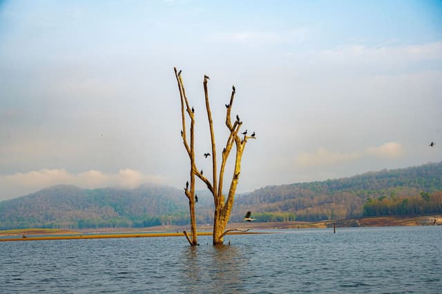 07NIGHTS-08DAYS KERALA PACKAGE 