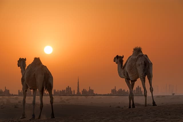 06 NIGHTS 07 DAYS BEST OF DUBAI