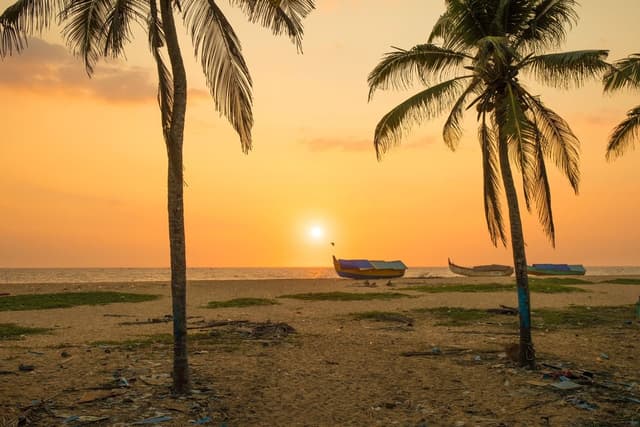 08NIGHTS-09DAYS KERALA HIGHLIGHTS