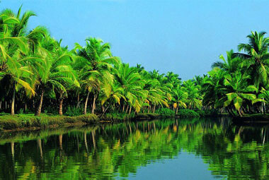 1 NIGHT 2 DAYS BACKWATER PACKAGES IN KERALA