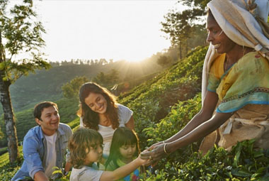 7 NIGHT 8 DAYS SPECIAL FAMILY PACKAGES IN KERALA