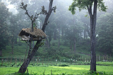 3 NIGHT 4 DAYS WAYANAD PACKAGES 