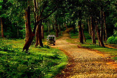 4 NIGHT 5 DAYS WAYANAD PACKAGES