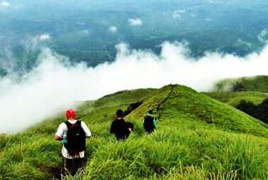 7 NIGHT 8 DAYS WAYANAD PACKAGES